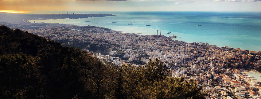 Asistencia Técnica y Asesoramiento Empresarial en el Líbano
